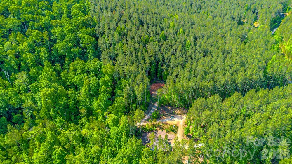 146 S Branch Drive Bostic, NC 28018
