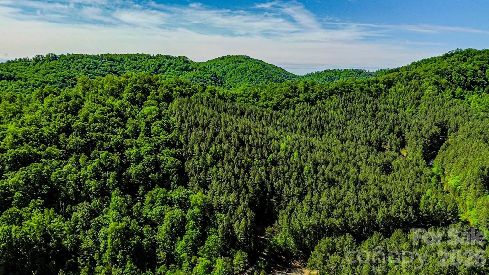 146 S Branch Drive Bostic, NC 28018