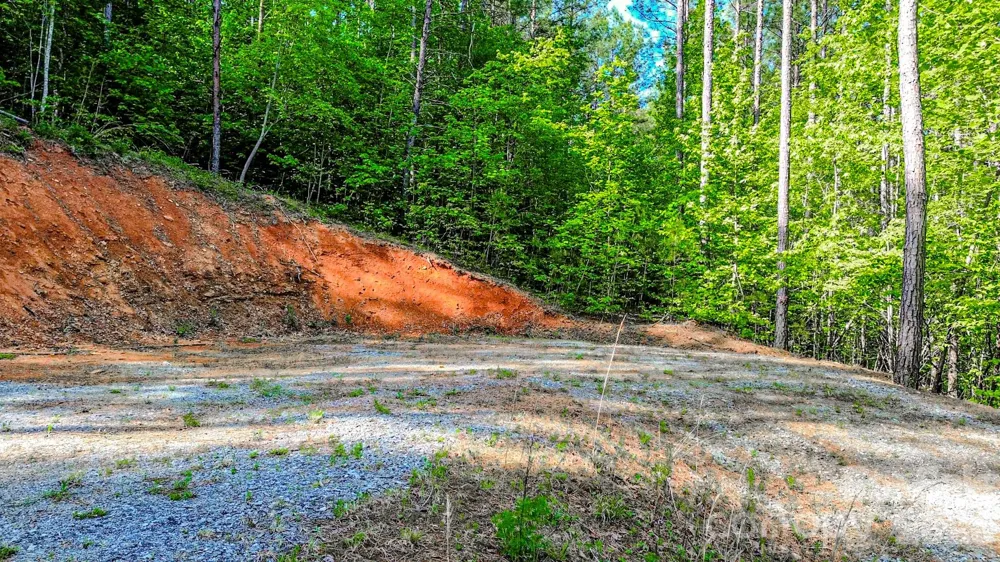 146 S Branch Drive Bostic, NC 28018