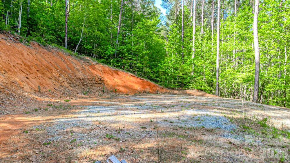 146 S Branch Drive Bostic, NC 28018