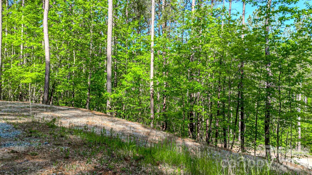 146 S Branch Drive Bostic, NC 28018