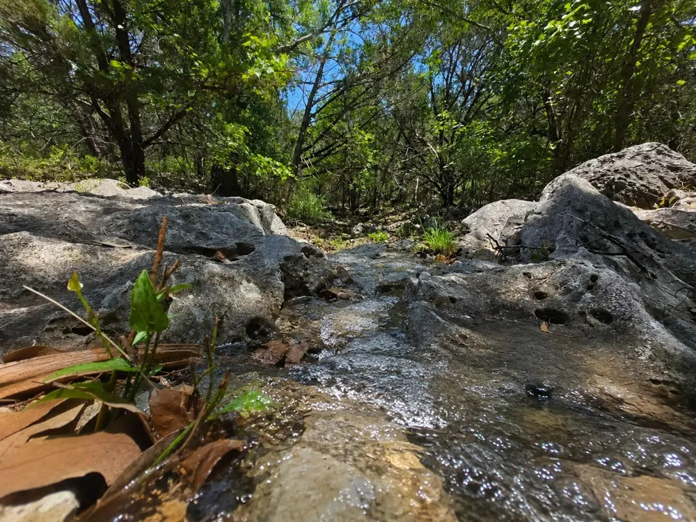 330 Live Oak Hills Court San Marcos, TX 78666