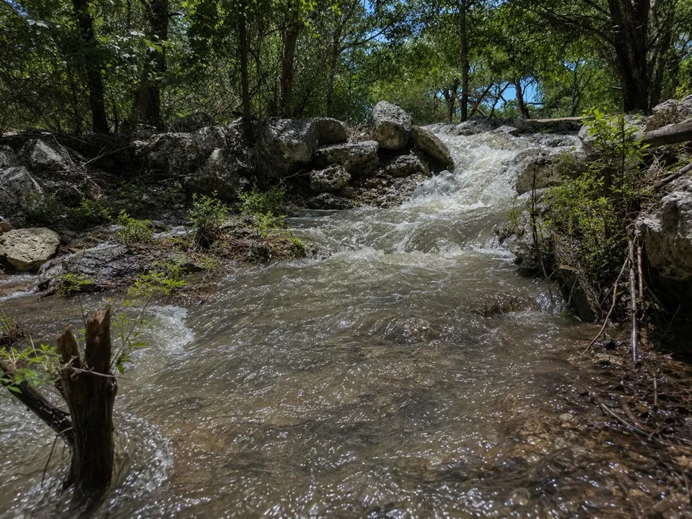 330 Live Oak Hills Court San Marcos, TX 78666