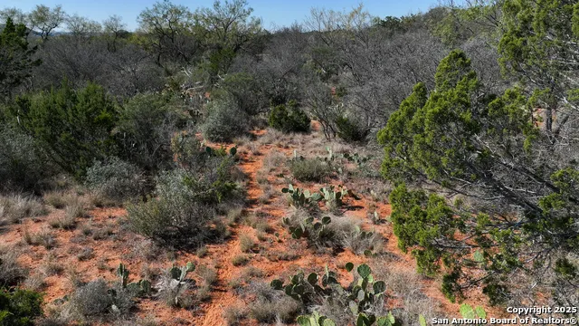 2356 KC 314 Junction, TX 76849