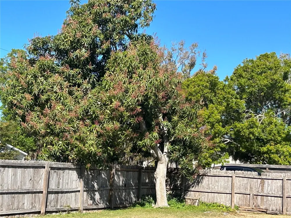 4722 HARRIS AVENUE Sarasota, FL 34233