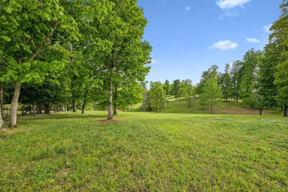 7899 W Lick Creek Rd Primm Springs, TN 38476