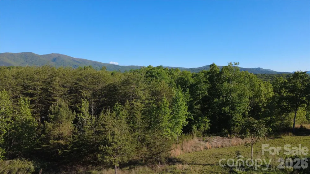 431 Ridge Point Road #7 Nebo, NC 28761