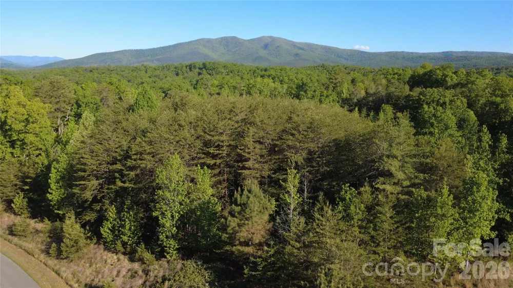 431 Ridge Point Road #7 Nebo, NC 28761