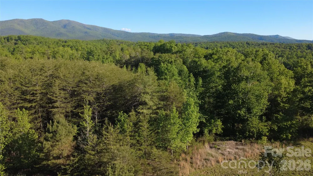 431 Ridge Point Road #7 Nebo, NC 28761