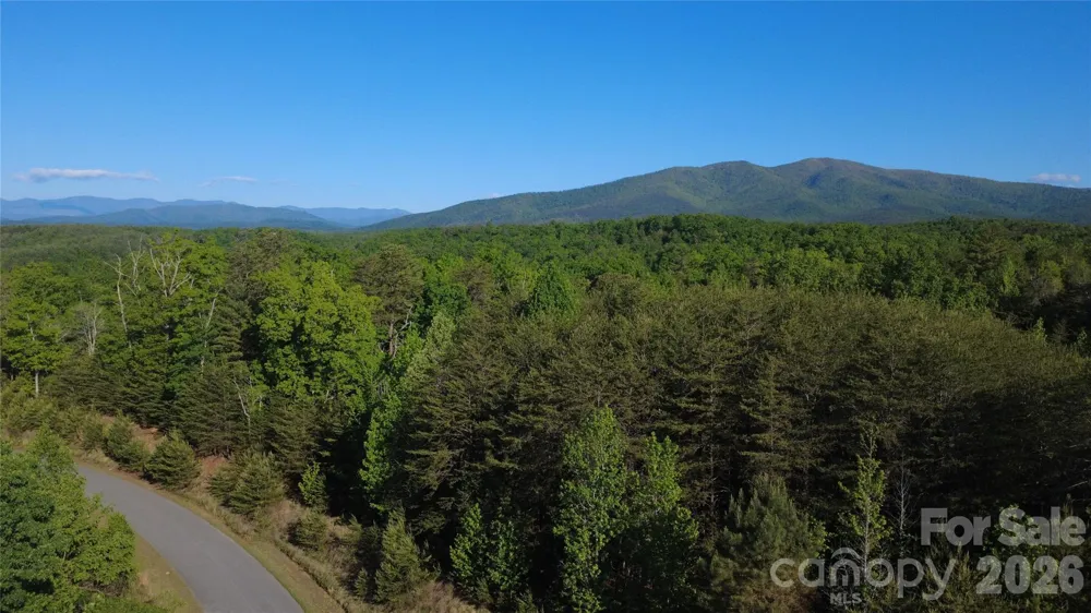 431 Ridge Point Road #7 Nebo, NC 28761