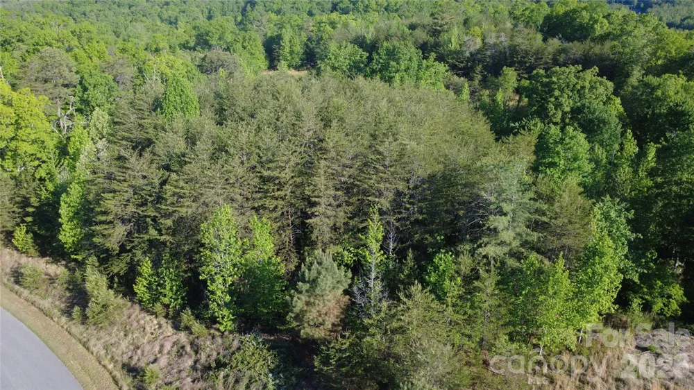 431 Ridge Point Road #7 Nebo, NC 28761