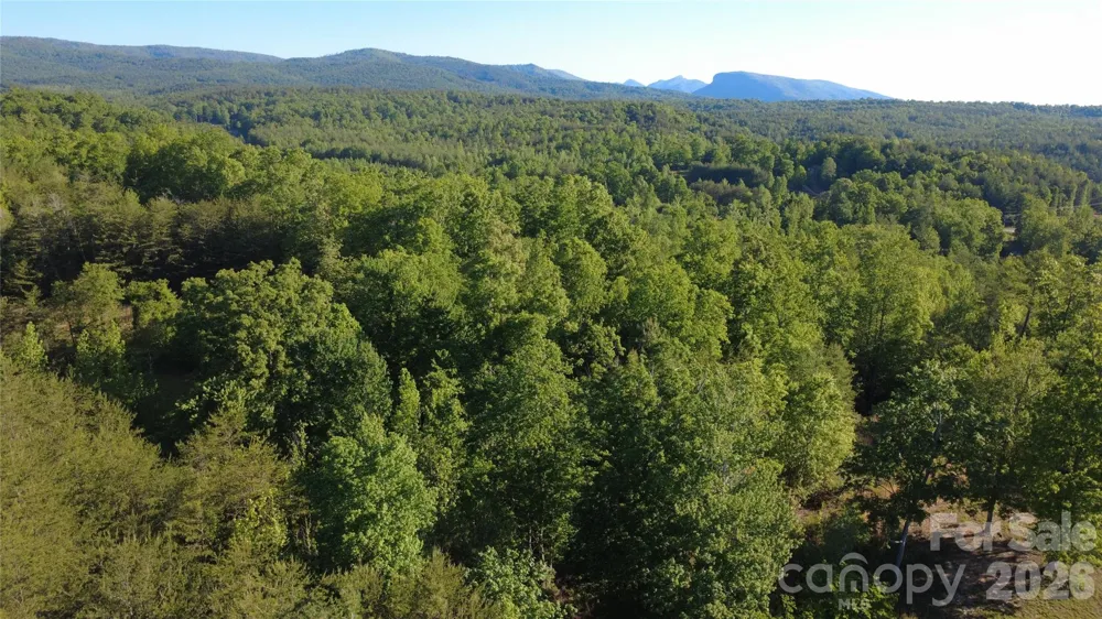 431 Ridge Point Road #7 Nebo, NC 28761