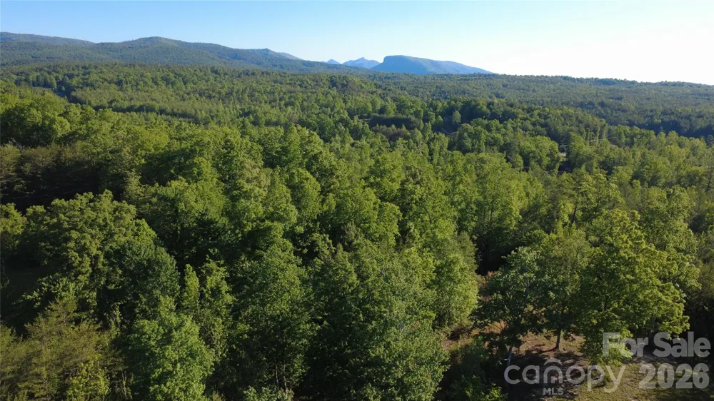 431 Ridge Point Road #7 Nebo, NC 28761