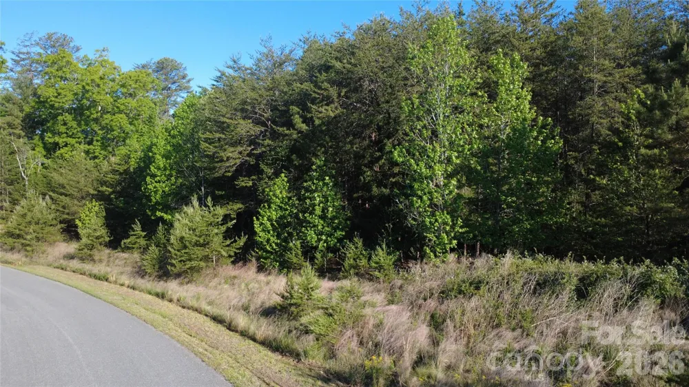 431 Ridge Point Road #7 Nebo, NC 28761