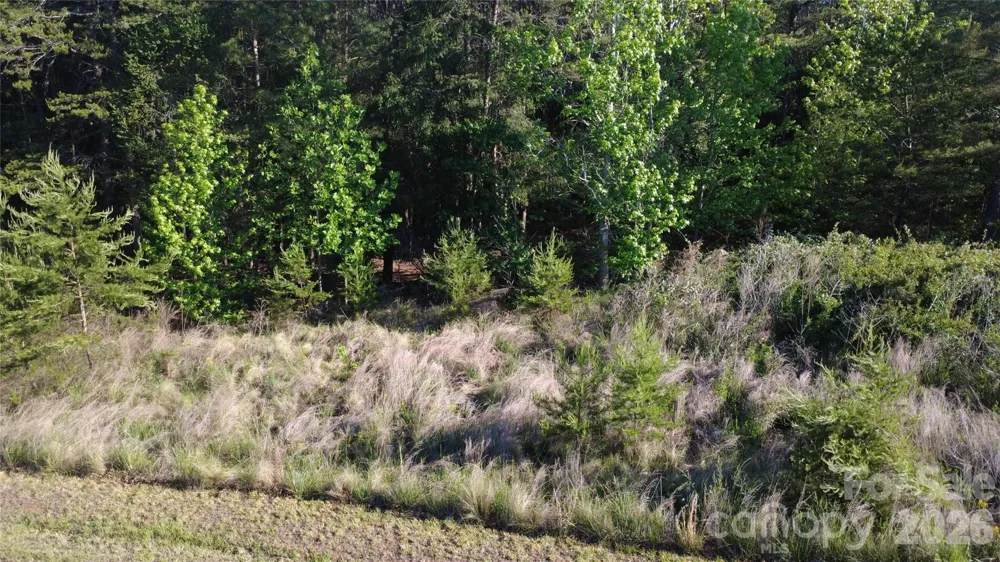 431 Ridge Point Road #7 Nebo, NC 28761