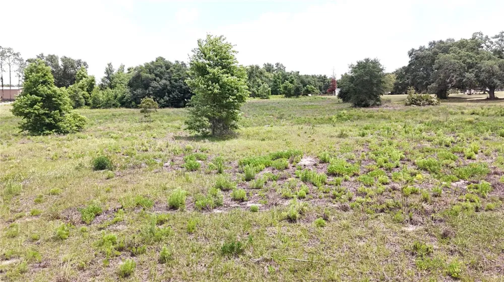 SONOMA RIDGE ROAD Clermont, FL 34715