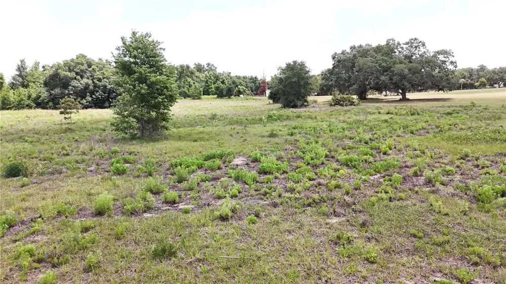 SONOMA RIDGE ROAD Clermont, FL 34715