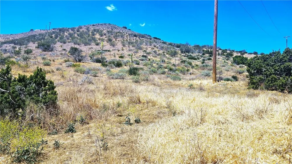 San Gabriel Acton, CA 93510