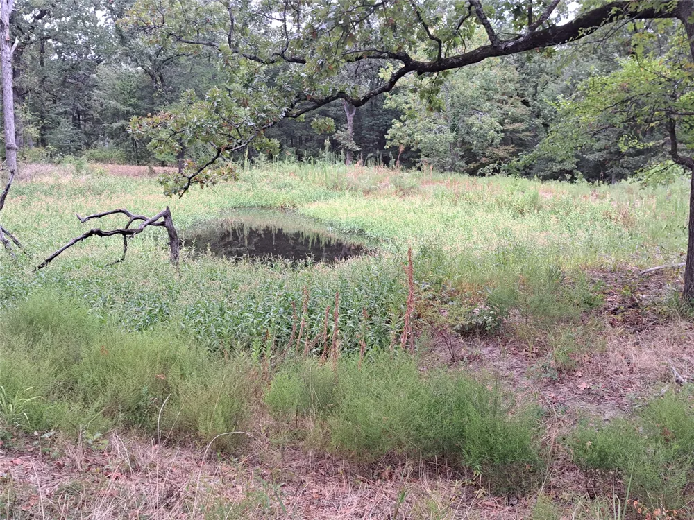 Rs County Road 3360 Emory, TX 75440
