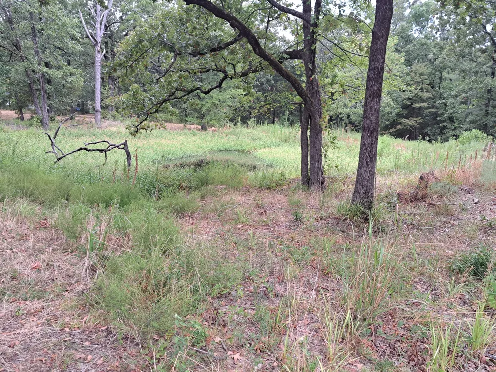 Rs County Road 3360 Emory, TX 75440