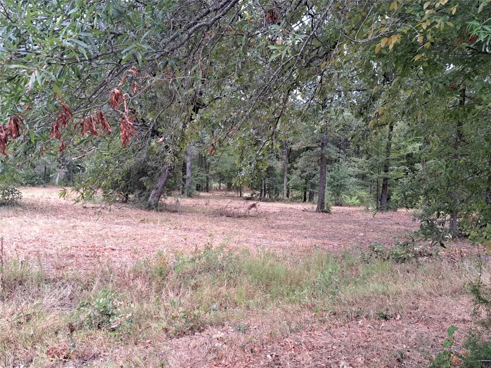 Rs County Road 3360 Emory, TX 75440