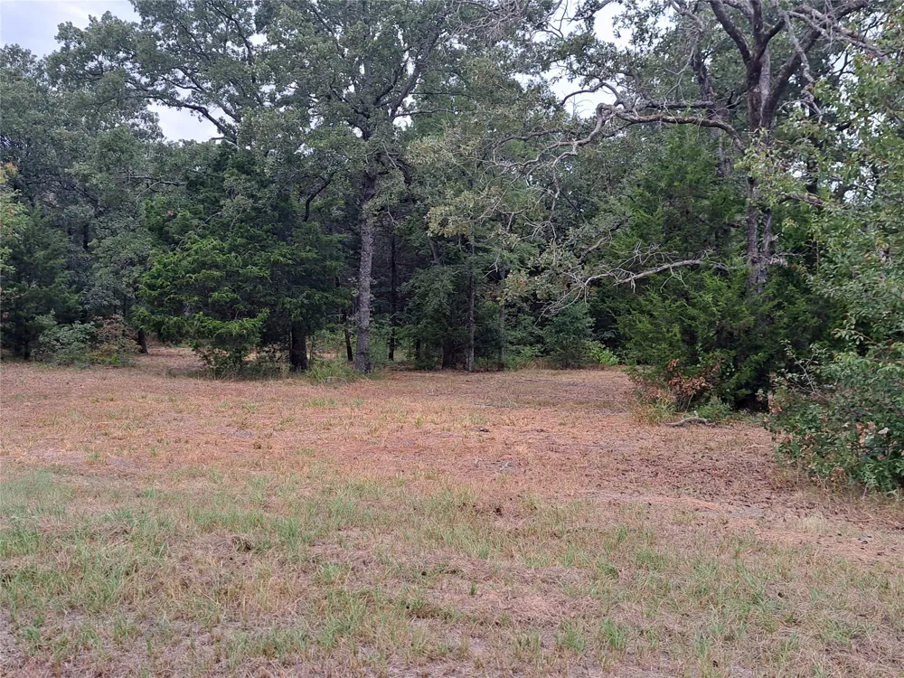 Rs County Road 3360 Emory, TX 75440