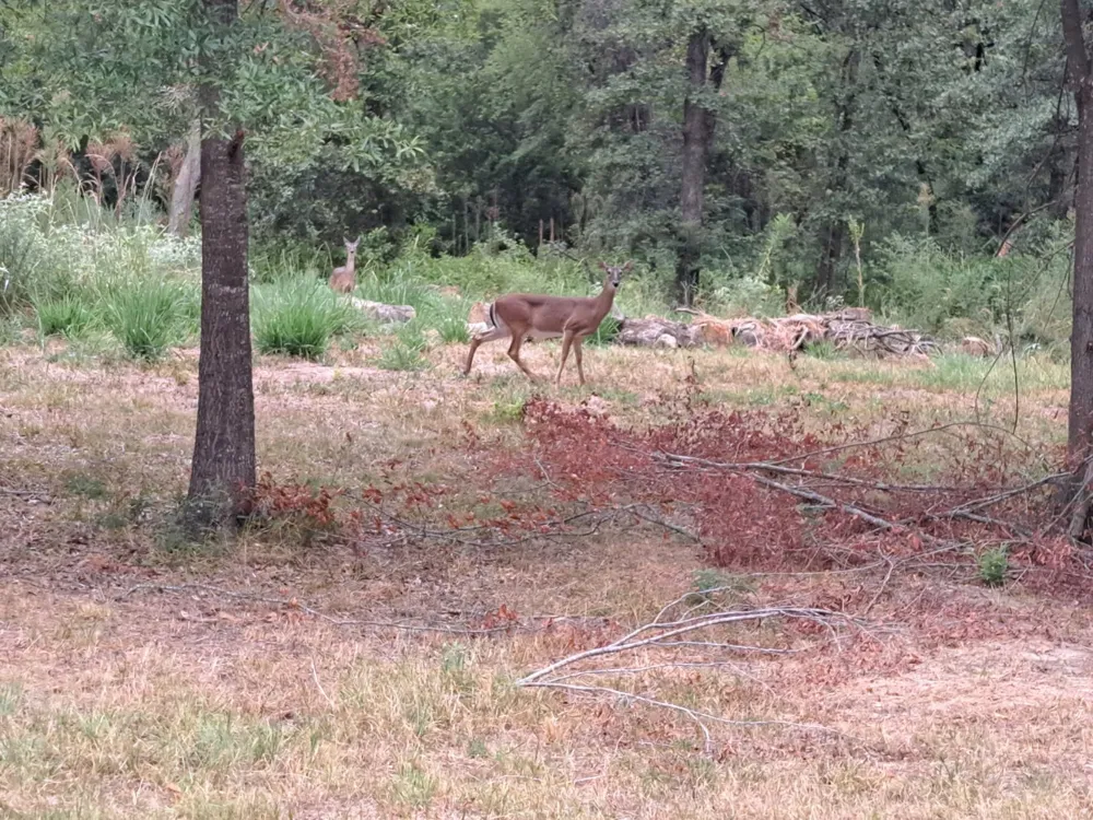 Rs County Road 3360 Emory, TX 75440