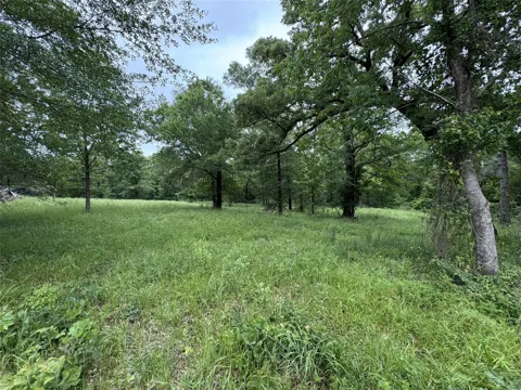 Rs County Road 3360
