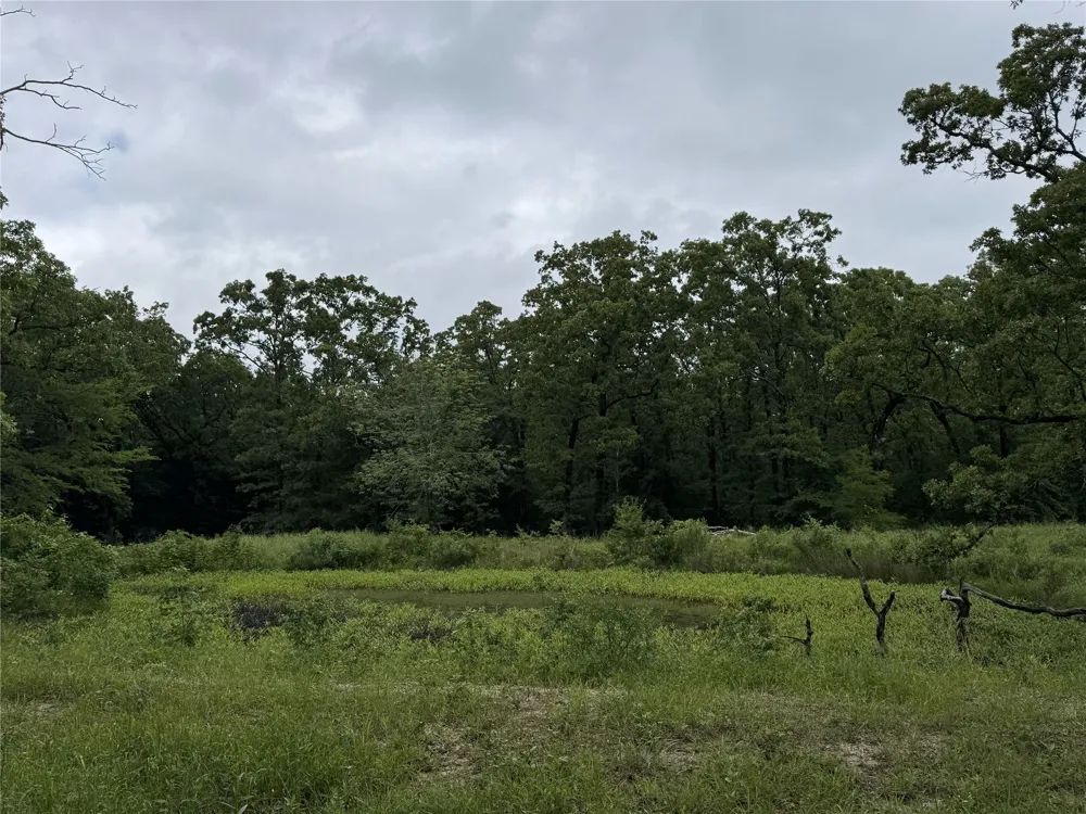 Rs County Road 3360 Emory, TX 75440