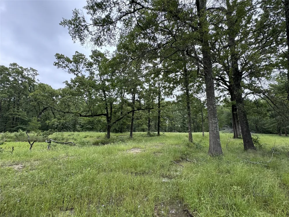 Rs County Road 3360 Emory, TX 75440