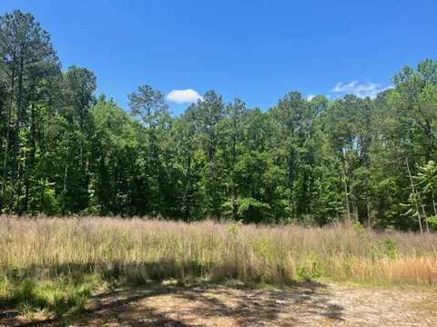 DOOLY SPRINGS