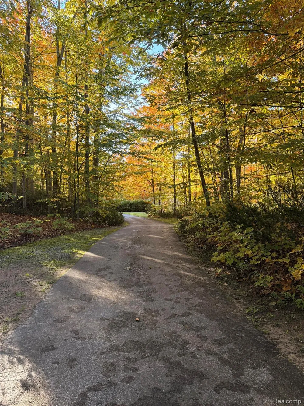 6788 E Hoxie Road Solon Township, MI 49621