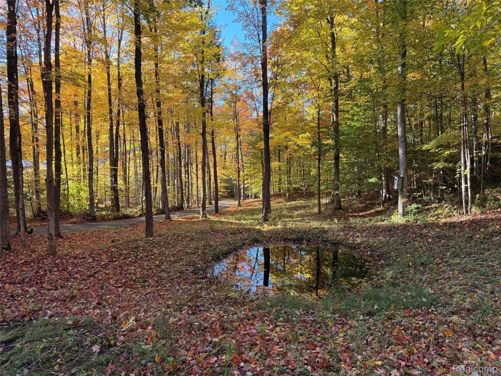 6788 E Hoxie Road Solon Township, MI 49621