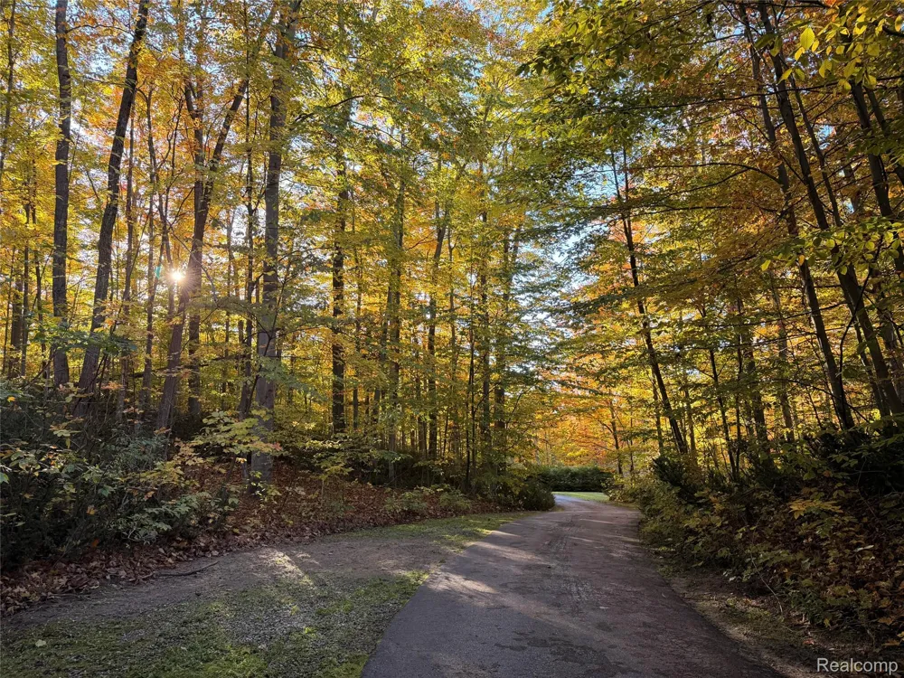 6788 E Hoxie Road Solon Township, MI 49621