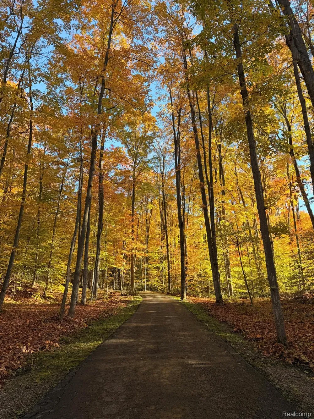6788 E Hoxie Road Solon Township, MI 49621