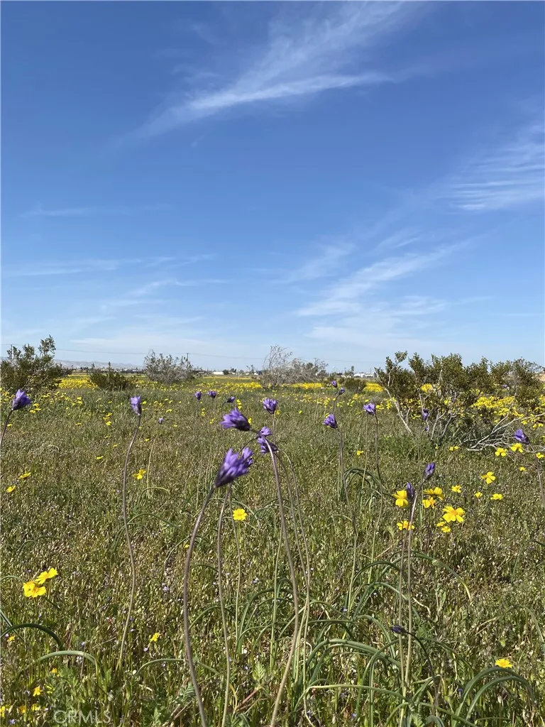 Vacant Land Mojave, CA 93501