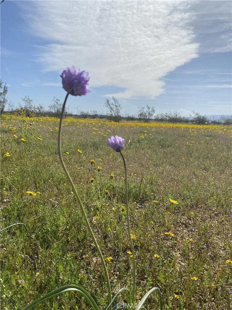 Vacant Land Mojave, CA 93501