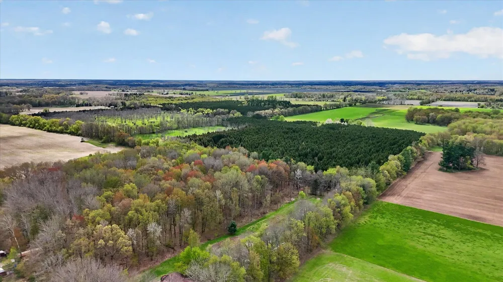 4362 S Vickeryville Road Evergreen Township, MI 48884