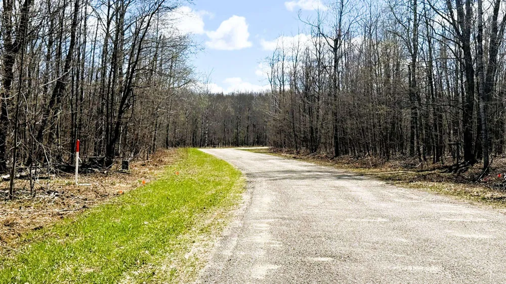 Wyndwood Drive Mancelona Township, MI 49659