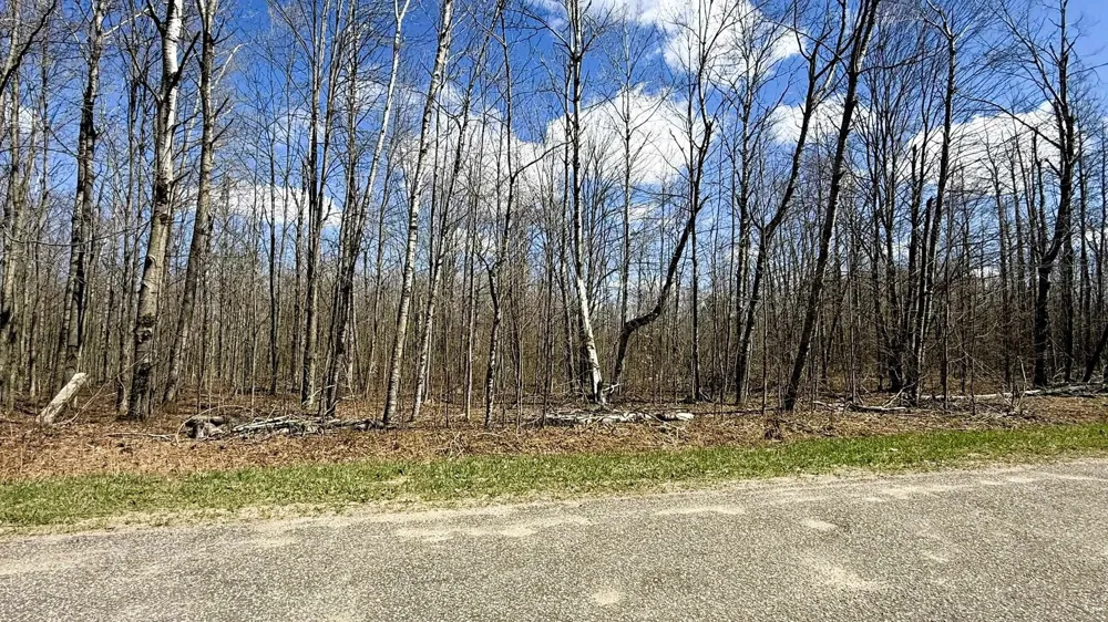 Wyndwood Drive Mancelona Township, MI 49659