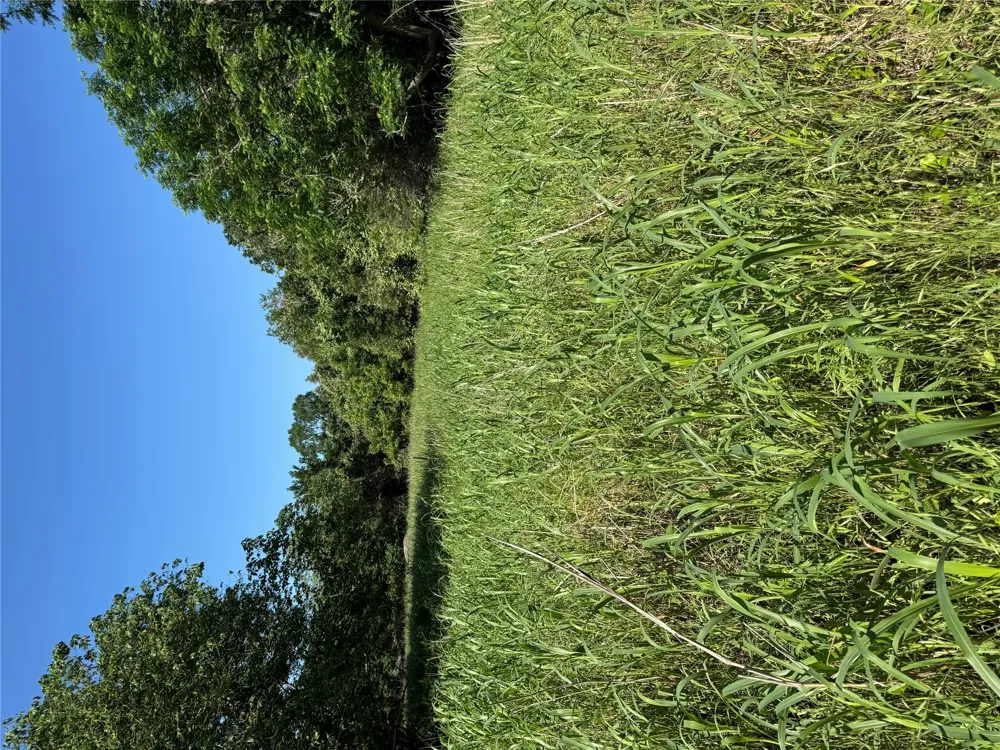 600 Gazley Street Smithville, TX 78957