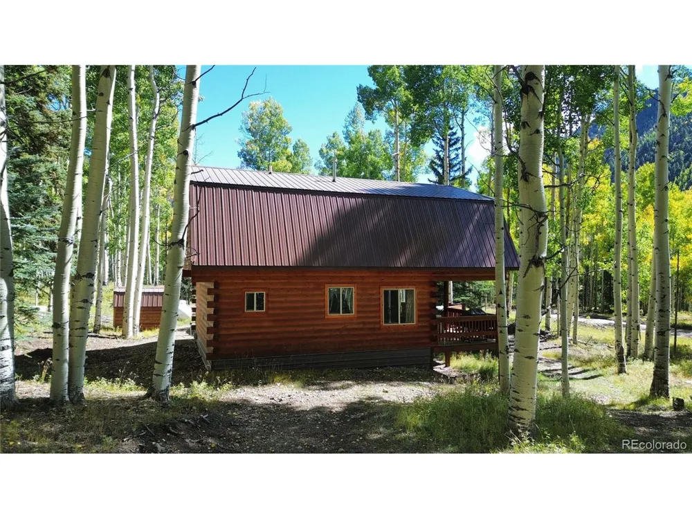 613 Alamosa Avenue Jasper, CO 81140
