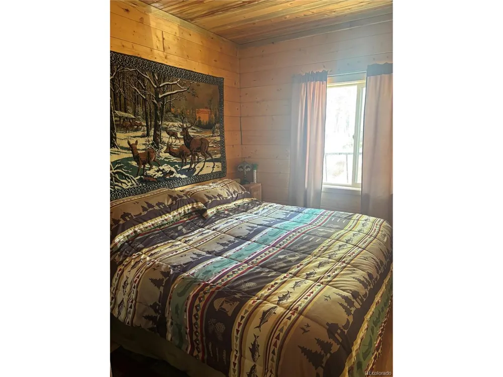 613 Alamosa Avenue Jasper, CO 81140