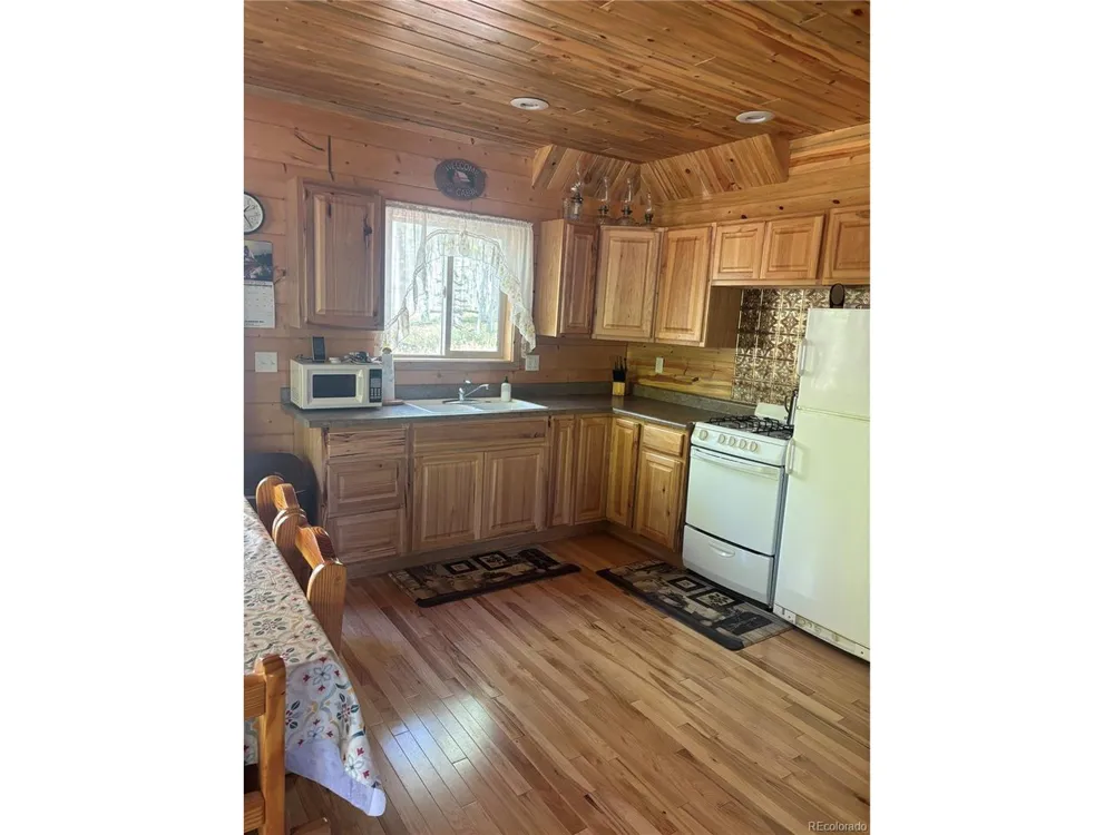 613 Alamosa Avenue Jasper, CO 81140