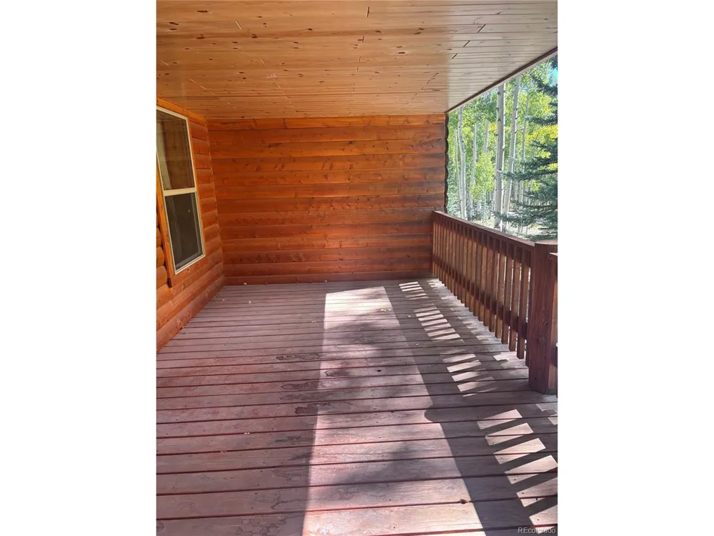 613 Alamosa Avenue Jasper, CO 81140