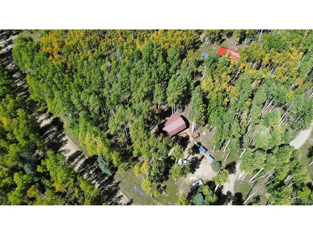 613 Alamosa Avenue Jasper, CO 81140