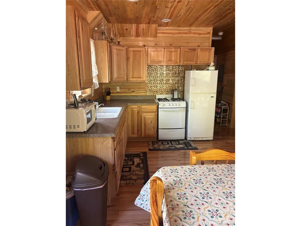 613 Alamosa Avenue Jasper, CO 81140