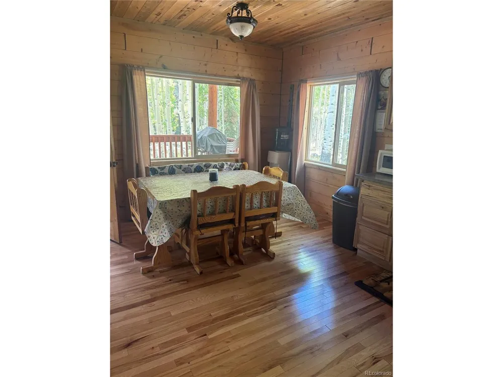 613 Alamosa Avenue Jasper, CO 81140