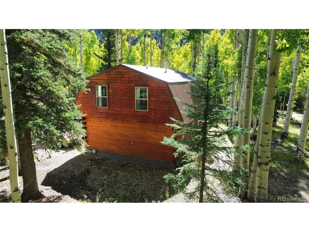 613 Alamosa Avenue Jasper, CO 81140