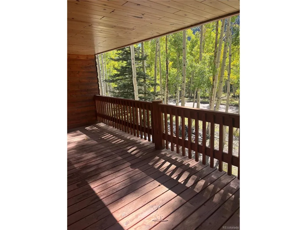 613 Alamosa Avenue Jasper, CO 81140